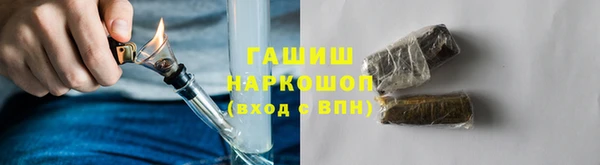 мдпв Новозыбков